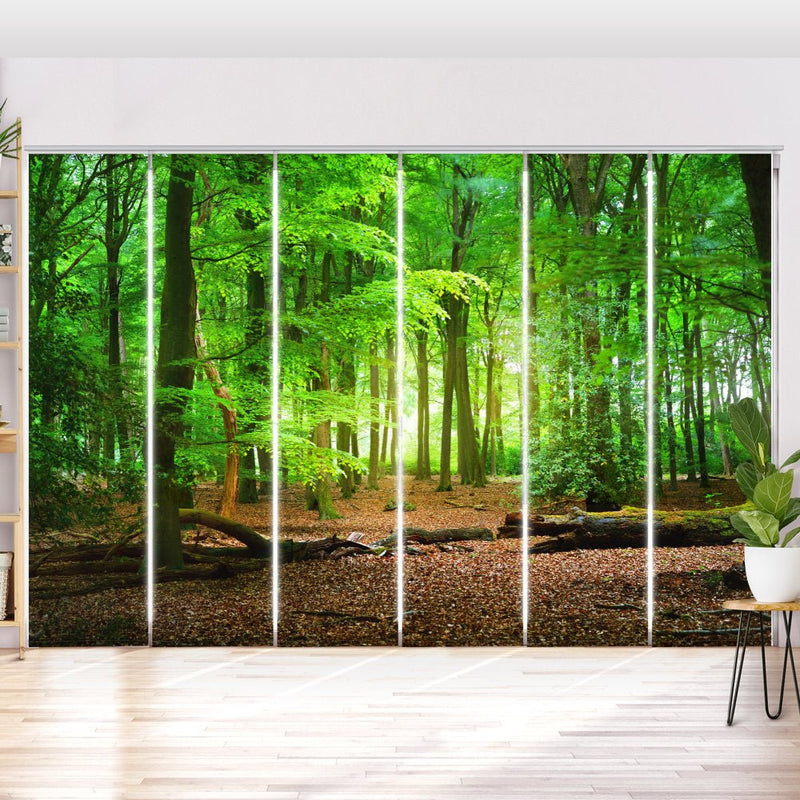 Schiebegardine Motiv "Eichenwald Weg" - La-Melle