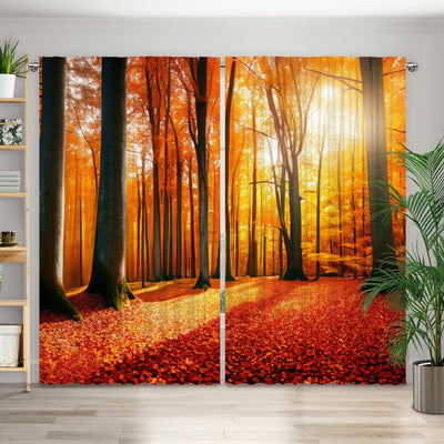 Vorhang Motiv Herbstwald Sonne - La-Melle