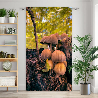 Vorhang Motiv Pilze Wald Baumstumpf - La-Melle