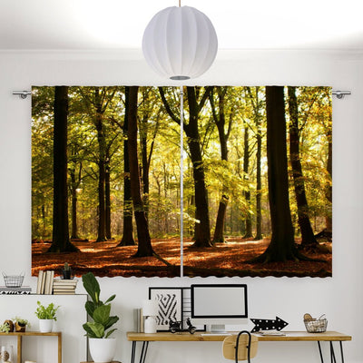 Vorhang Motiv Im Wald unterwegs - La-Melle