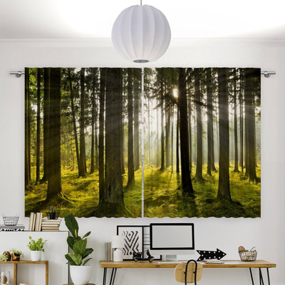 Vorhang Motiv Wald Sonnenaufgang Nebel - La-Melle